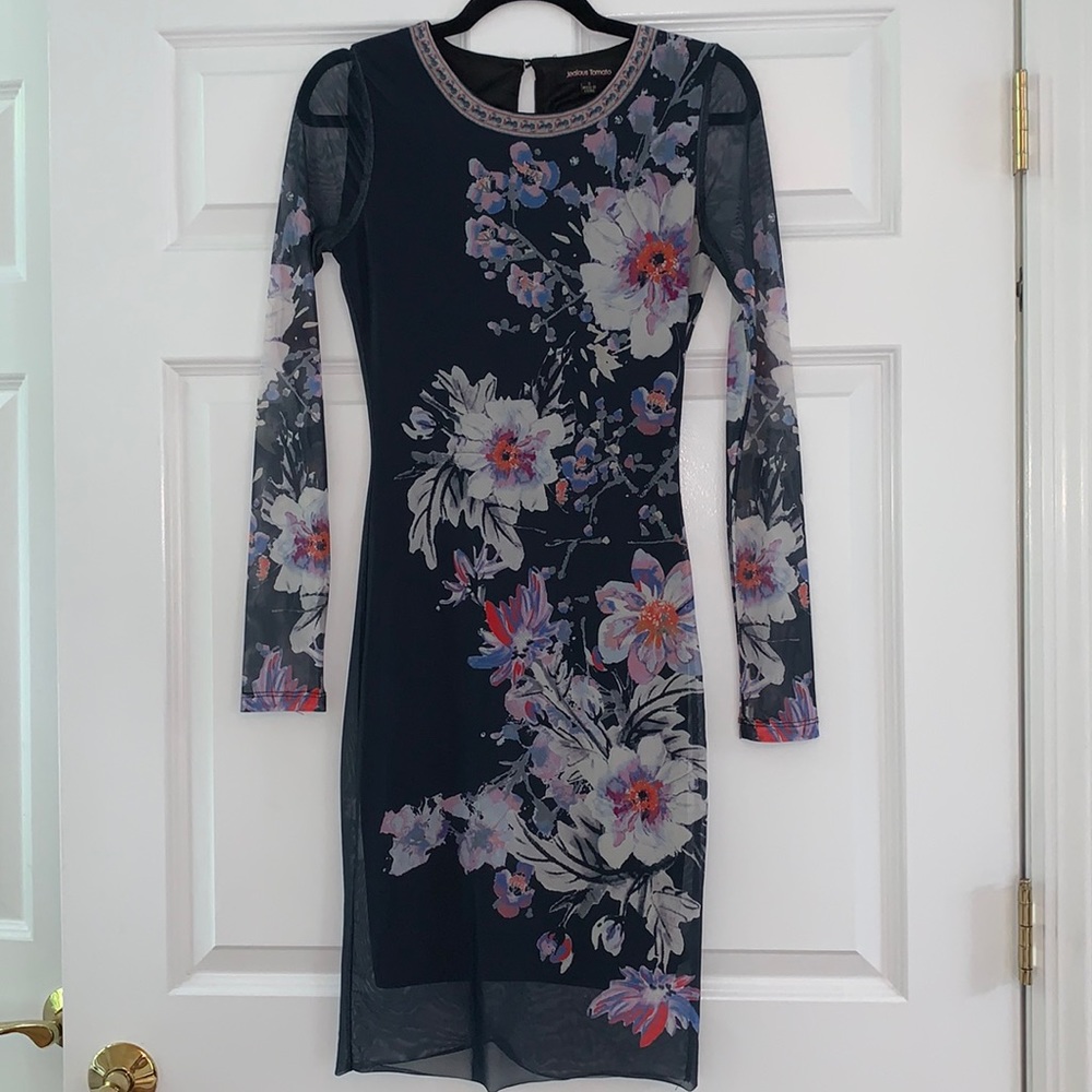 Jealous Tomato floral Dress - sheer arms - SIZE SMALL - Great Condition